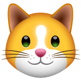 Cat Face on WhatsApp