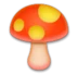 Champignon