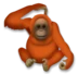 Orang-outan