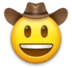 Tête de cow-boy