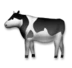 Vache