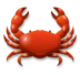 Crabe