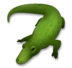 Crocodile