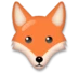 Tête de renard