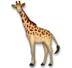 Girafe