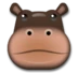 Hippopotame