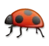 Coccinelle