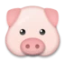 Tête de cochon