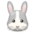 Tête de lapin