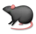 Rat