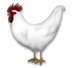 Coq