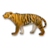 Tigre