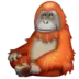 Orangutan