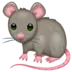 Tikus