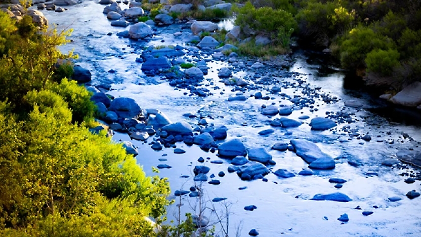 Ein kleiner felsiger Fluss schlängelt sich durch üppiges grünes Blattwerk und Bäume auf beiden Seiten. Das Wasser reflektiert blaue Farbtöne