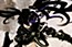 Black★Rock Shooter