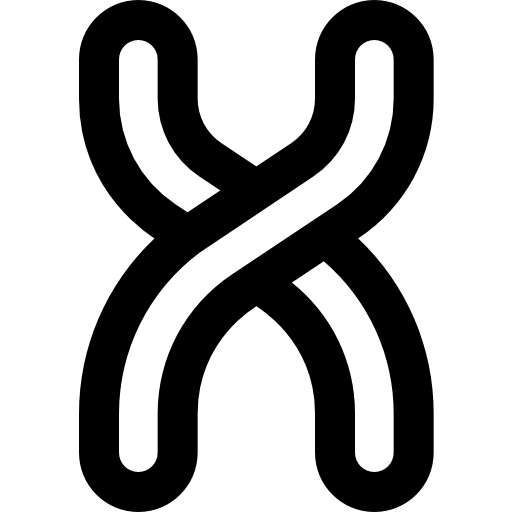 Chromosome Super Basic Rounded Lineal icon