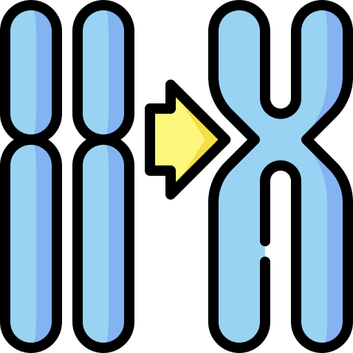 Chromosome Special Lineal color icon