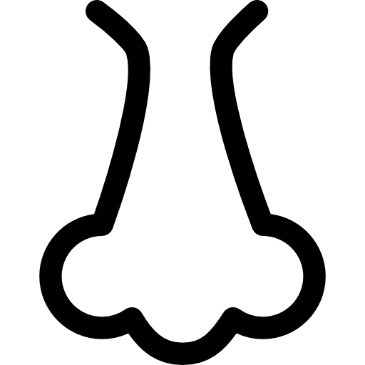 Nose outline icon