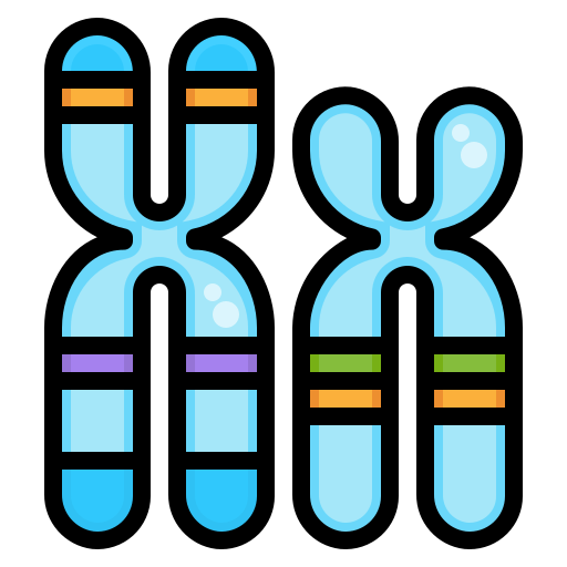 Chromosome dDara Lineal Color icon