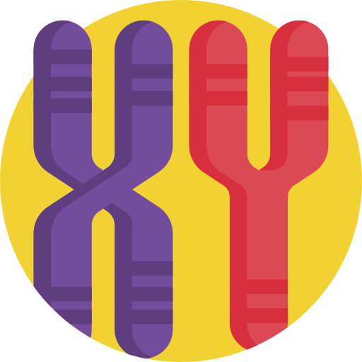 Chromosomes Detailed Flat Circular Flat icon