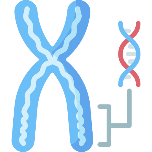 Chromosome Special Flat icon