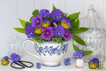 Blue violets