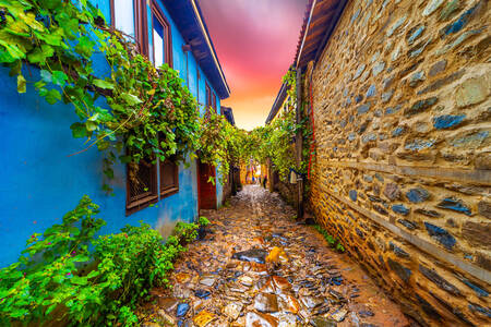 Street with stone houses