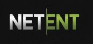 netentlogo.JPG