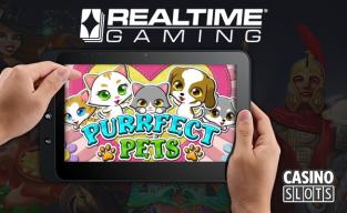 purrfect_pets_slot_coming_from_realtime_gaming.jpg