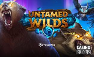 yggdrasil_untamed_wilds.jpg