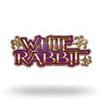 white-rabbit.png