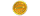 gold_coin_studios_icon.png