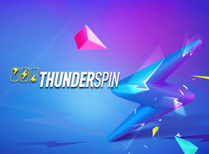 thunderspins-software-review