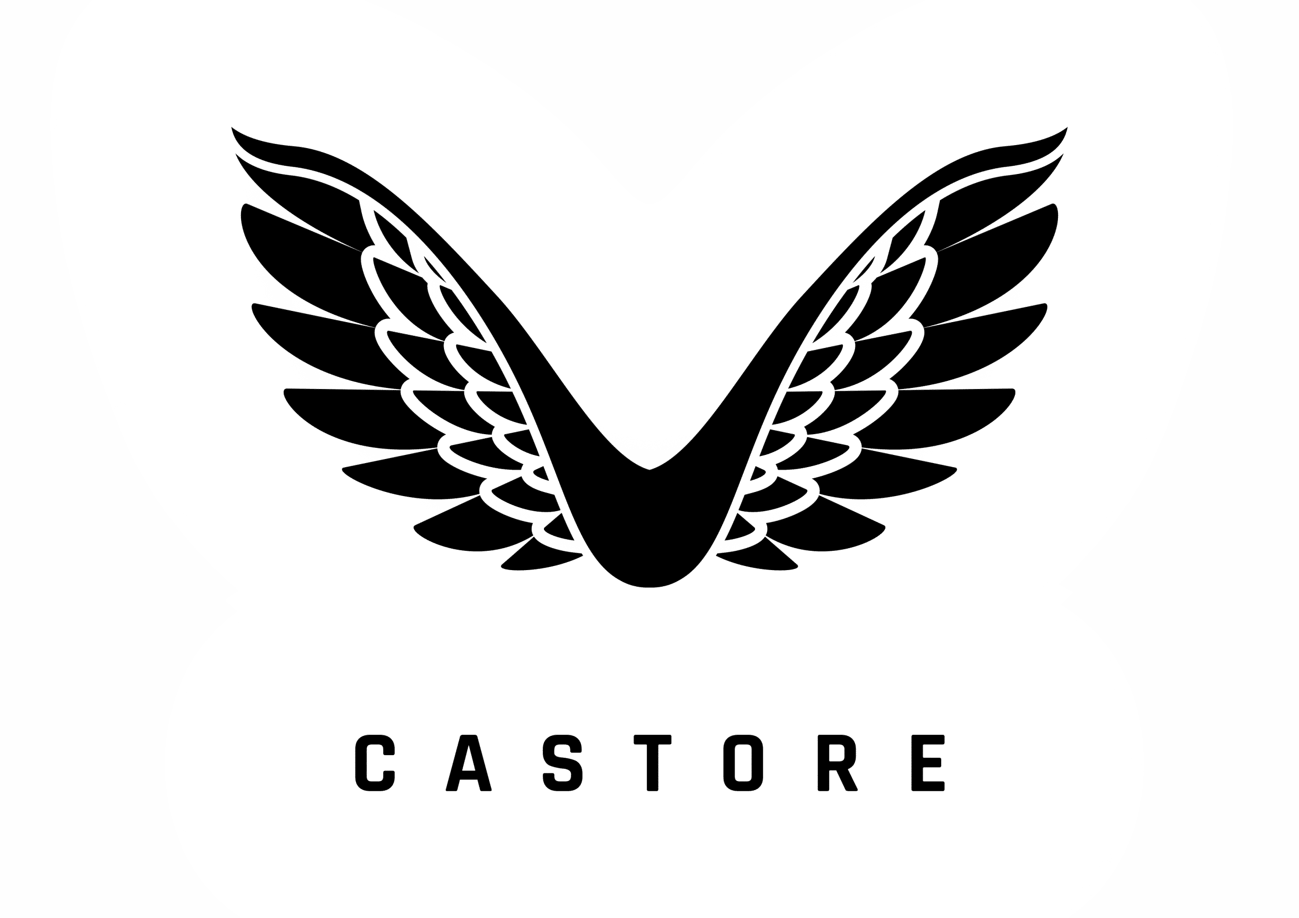 Castore logo