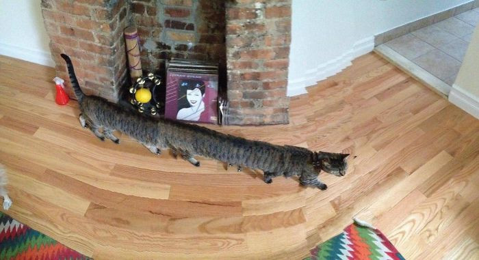 Failed Panoramic Photos (23 pics)