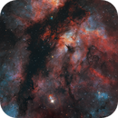 SHORGB Color Fusing - Gamma Cygni Nebula and Sadr, Min Xie