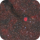 IC 5146 Cocoon Nebula Widefield (HALRGB), Fritz