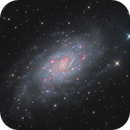 NGC2403, Guillaume Gruntz