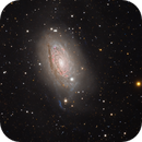 Messier 63 (Sunflower Galaxy) - Widefield, Min Xie