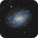 NGC 300, Fritz