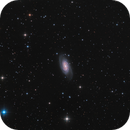 NGC 2903, Samuli Vuorinen