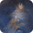 NGC 2264 in narrowband, Samuli Vuorinen