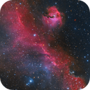 IC 2177 Region - The Seagull Nebula, Min Xie