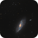 M106, Stefan Roth