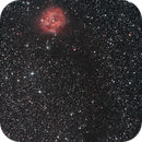 The Cocoon Nebula, Samuli Vuorinen