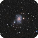 NGC 2835, Fritz