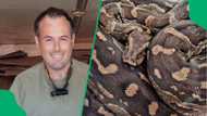 3m python gets stuck, KZN snake catcher Nick Evans shows Christmas day adventure in pics