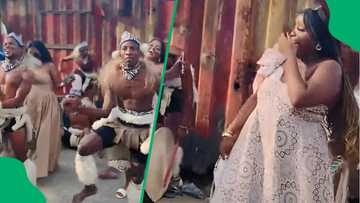 "Baya twerka": Zulu traditional dance’ Magic Mike’ style in TikTok video delights SA ladies