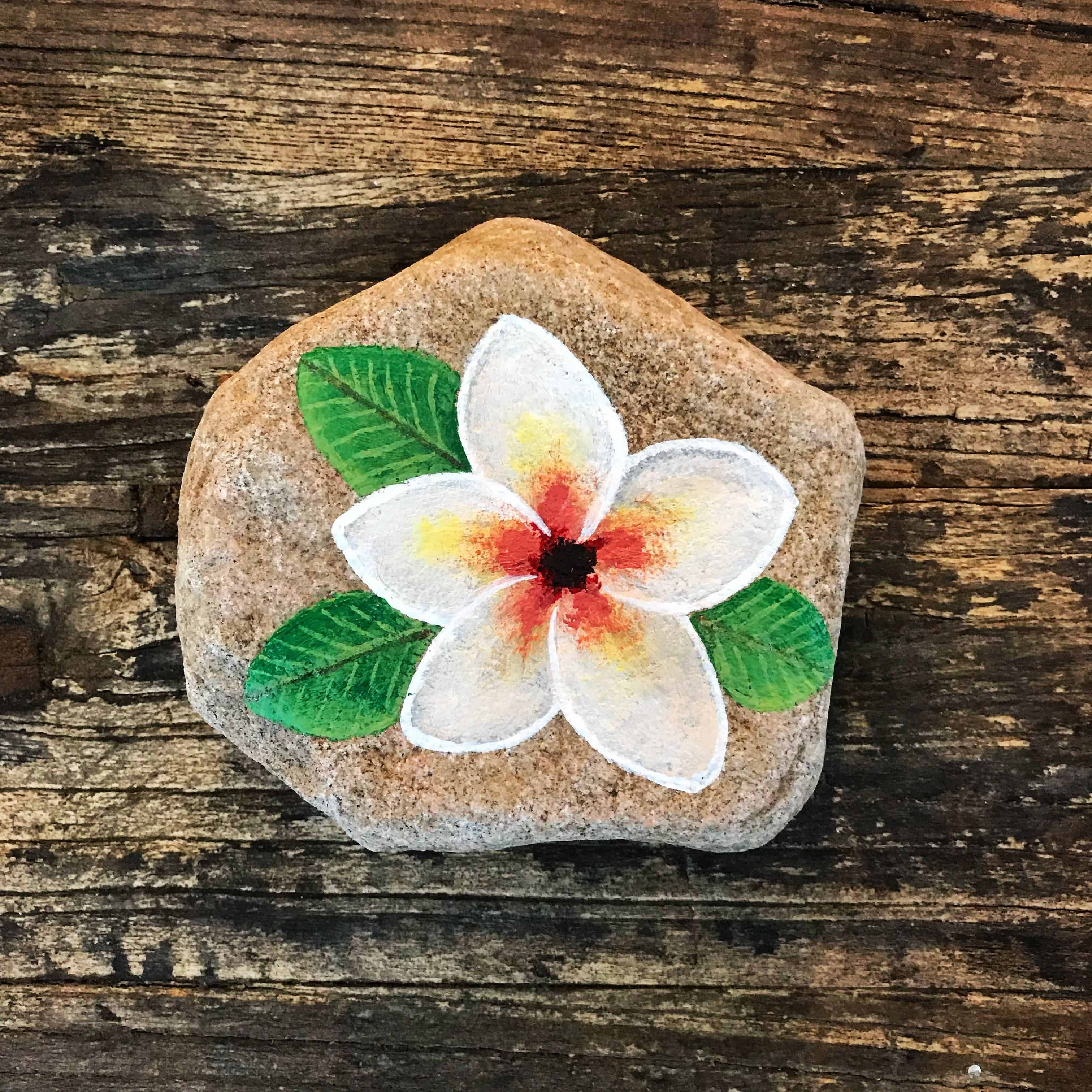 Flower painted rocks